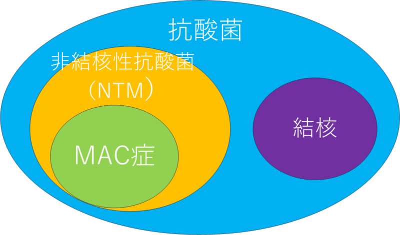 非結核性抗酸菌症（NTM）